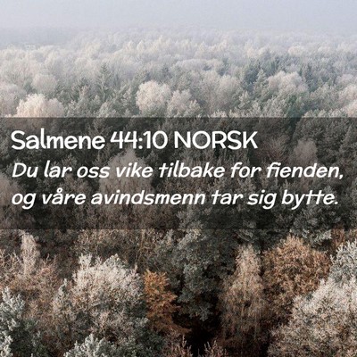 Picture 02 - Salmene 44:10 NORSK - Du lar oss vike tilbake for fienden, og våre - Bible Verse Picture