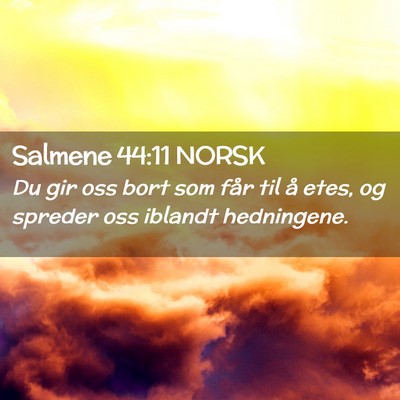 Picture 02 - Salmene 44:11 NORSK - Du gir oss bort som får til å etes, og spreder - Bible Verse Picture