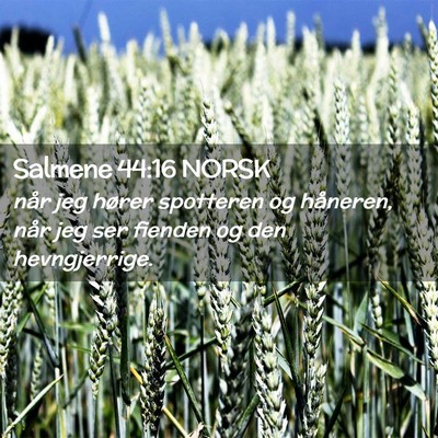 Picture 02 - Salmene 44:16 NORSK - når jeg hører spotteren og håneren, når jeg - Bible Verse Picture