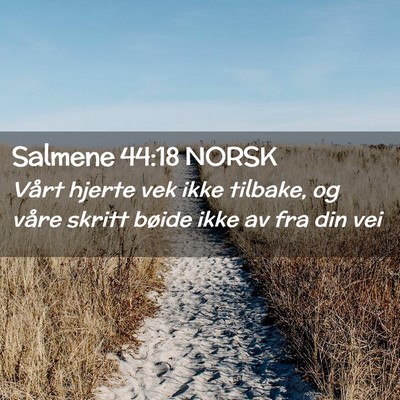 Picture 02 - Salmene 44:18 NORSK - Vårt hjerte vek ikke tilbake, og våre skritt - Bible Verse Picture