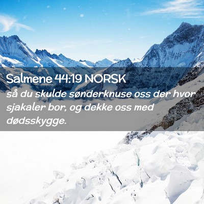 Picture 02 - Salmene 44:19 NORSK - så du skulde sønderknuse oss der hvor sjakaler - Bible Verse Picture