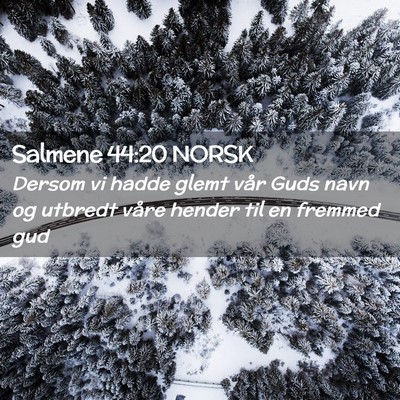 Picture 02 - Salmene 44:20 NORSK - Dersom vi hadde glemt vår Guds navn og utbredt - Bible Verse Picture