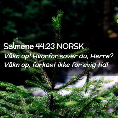 Picture 02 - Salmene 44:23 NORSK - Våkn op! Hvorfor sover du, Herre? Våkn op, - Bible Verse Picture