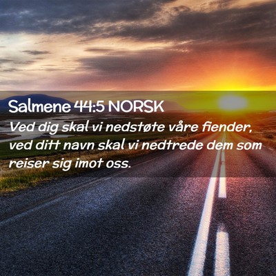 Picture 02 - Salmene 44:5 NORSK - Ved dig skal vi nedstøte våre fiender, ved ditt - Bible Verse Picture