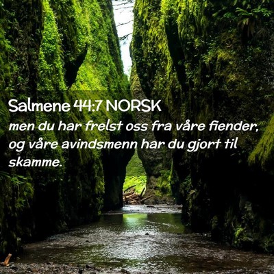 Picture 02 - Salmene 44:7 NORSK - men du har frelst oss fra våre fiender, og våre - Bible Verse Picture