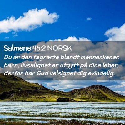 Picture 02 - Salmene 45:2 NORSK - Du er den fagreste blandt menneskenes barn, - Bible Verse Picture