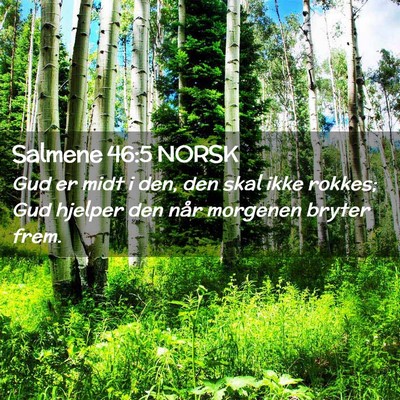 Picture 02 - Salmene 46:5 NORSK - Gud er midt i den, den skal ikke rokkes; Gud - Bible Verse Picture
