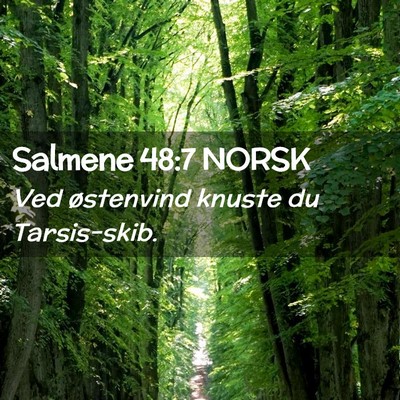 Picture 02 - Salmene 48:7 NORSK - Ved østenvind knuste du - Bible Verse Picture