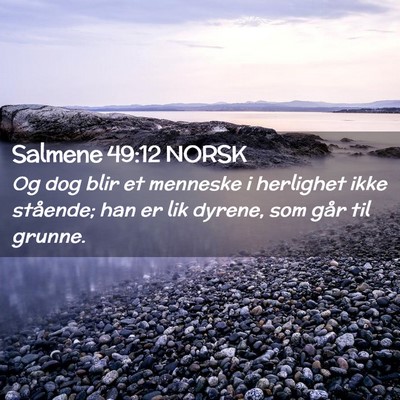 Picture 02 - Salmene 49:12 NORSK - Og dog blir et menneske i herlighet ikke - Bible Verse Picture