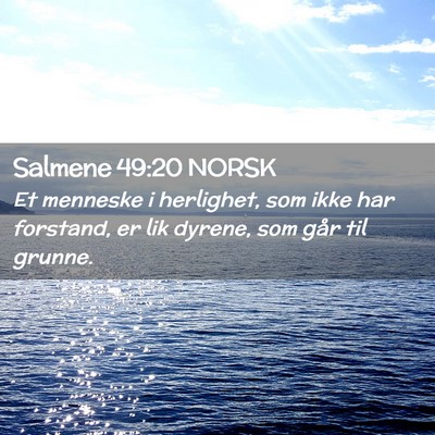Picture 02 - Salmene 49:20 NORSK - Et menneske i herlighet, som ikke har forstand, - Bible Verse Picture