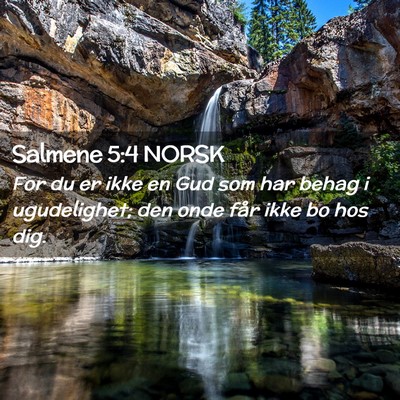 Picture 02 - Salmene 5:4 NORSK - For du er ikke en Gud som har behag i - Bible Verse Picture