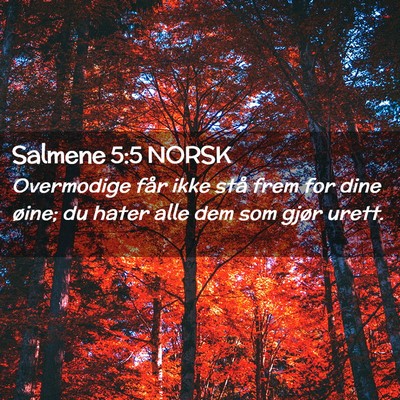 Picture 02 - Salmene 5:5 NORSK - Overmodige får ikke stå frem for dine øine; du - Bible Verse Picture