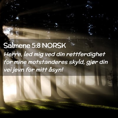 Picture 02 - Salmene 5:8 NORSK - Herre, led mig ved din rettferdighet for mine - Bible Verse Picture