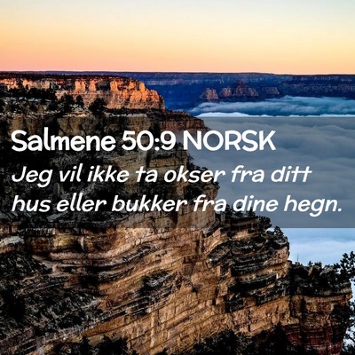 Picture 02 - Salmene 50:9 NORSK - Jeg vil ikke ta okser fra ditt hus eller bukker - Bible Verse Picture