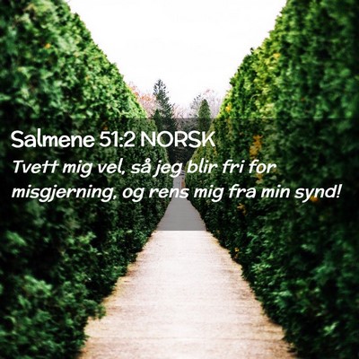 Picture 02 - Salmene 51:2 NORSK - Tvett mig vel, så jeg blir fri for misgjerning, - Bible Verse Picture