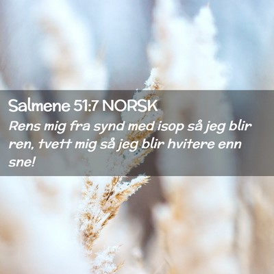 Picture 02 - Salmene 51:7 NORSK - Rens mig fra synd med isop så jeg blir ren, - Bible Verse Picture
