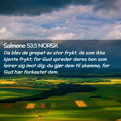 Picture 02 - Salmene 53:5 NORSK - Da blev de grepet av stor frykt, de som ikke - Bible Verse Picture