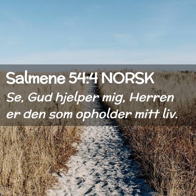 Picture 02 - Salmene 54:4 NORSK - Se, Gud hjelper mig, Herren er den som opholder - Bible Verse Picture