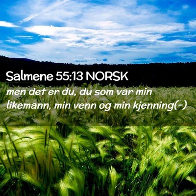 Picture 02 - Salmene 55:13 NORSK - men det er du, du som var min likemann, min venn - Bible Verse Picture