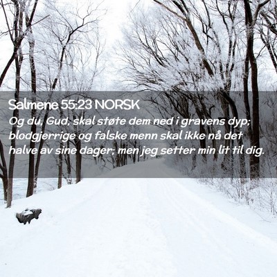 Picture 02 - Salmene 55:23 NORSK - Og du, Gud, skal støte dem ned i gravens dyp; - Bible Verse Picture