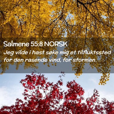 Picture 02 - Salmene 55:8 NORSK - Jeg vilde i hast søke mig et tilfluktssted for - Bible Verse Picture