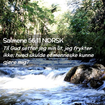Picture 02 - Salmene 56:11 NORSK - Til Gud setter jeg min lit, jeg frykter ikke; - Bible Verse Picture