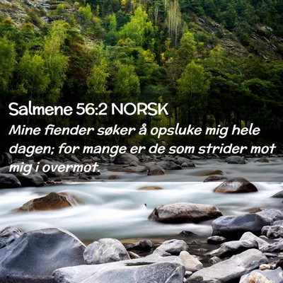 Picture 02 - Salmene 56:2 NORSK - Mine fiender søker å opsluke mig hele dagen; - Bible Verse Picture