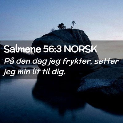 Picture 02 - Salmene 56:3 NORSK - På den dag jeg frykter, setter jeg min lit til - Bible Verse Picture