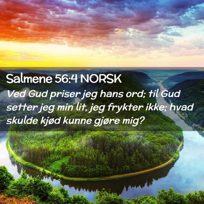 Picture 02 - Salmene 56:4 NORSK - Ved Gud priser jeg hans ord; til Gud setter jeg - Bible Verse Picture