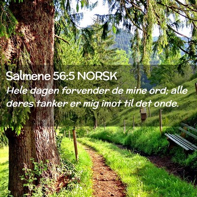 Picture 02 - Salmene 56:5 NORSK - Hele dagen forvender de mine ord; alle deres - Bible Verse Picture