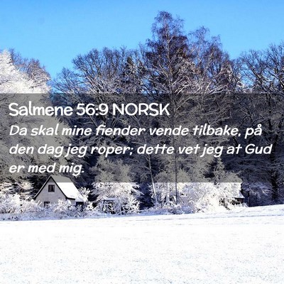 Picture 02 - Salmene 56:9 NORSK - Da skal mine fiender vende tilbake, på den dag - Bible Verse Picture