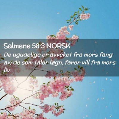 Picture 02 - Salmene 58:3 NORSK - De ugudelige er avveket fra mors fang av; de som - Bible Verse Picture