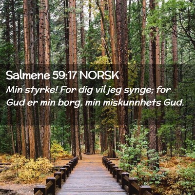Picture 02 - Salmene 59:17 NORSK - Min styrke! For dig vil jeg synge; for Gud er min - Bible Verse Picture