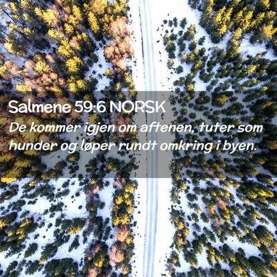 Picture 02 - Salmene 59:6 NORSK - De kommer igjen om aftenen, tuter som hunder og - Bible Verse Picture