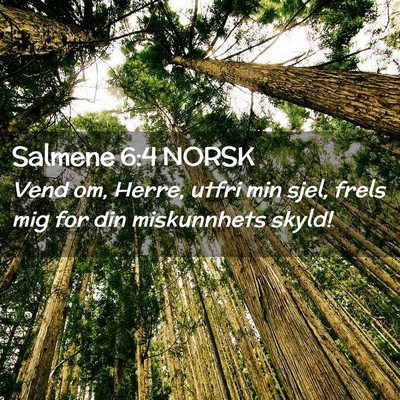 Picture 02 - Salmene 6:4 NORSK - Vend om, Herre, utfri min sjel, frels mig for din - Bible Verse Picture