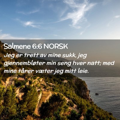 Picture 02 - Salmene 6:6 NORSK - Jeg er trett av mine sukk, jeg gjennembløter min - Bible Verse Picture