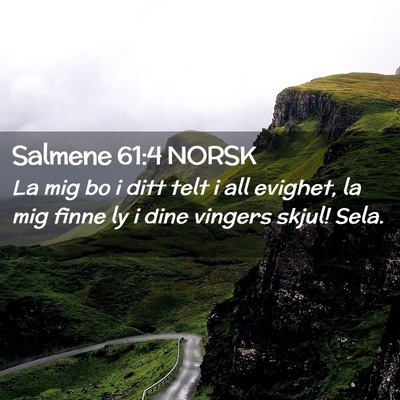 Picture 02 - Salmene 61:4 NORSK - La mig bo i ditt telt i all evighet, la mig finne - Bible Verse Picture