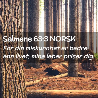 Picture 02 - Salmene 63:3 NORSK - For din miskunnhet er bedre enn livet; mine leber - Bible Verse Picture