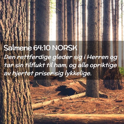 Picture 02 - Salmene 64:10 NORSK - Den rettferdige gleder sig i Herren og tar sin - Bible Verse Picture