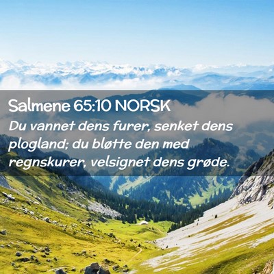 Picture 02 - Salmene 65:10 NORSK - Du vannet dens furer, senket dens plogland; du - Bible Verse Picture