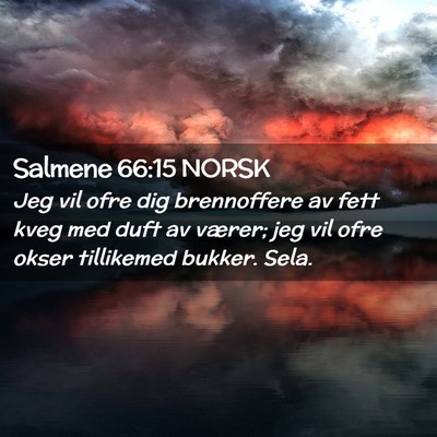 Picture 02 - Salmene 66:15 NORSK - Jeg vil ofre dig brennoffere av fett kveg med - Bible Verse Picture