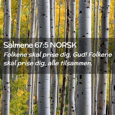 Picture 02 - Salmene 67:5 NORSK - Folkene skal prise dig, Gud! Folkene skal prise - Bible Verse Picture