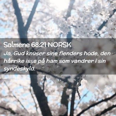 Picture 02 - Salmene 68:21 NORSK - Ja, Gud knuser sine fienders hode, den hårrike - Bible Verse Picture