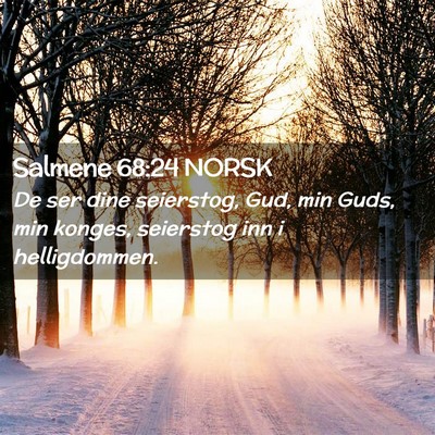 Picture 02 - Salmene 68:24 NORSK - De ser dine seierstog, Gud, min Guds, min konges, - Bible Verse Picture