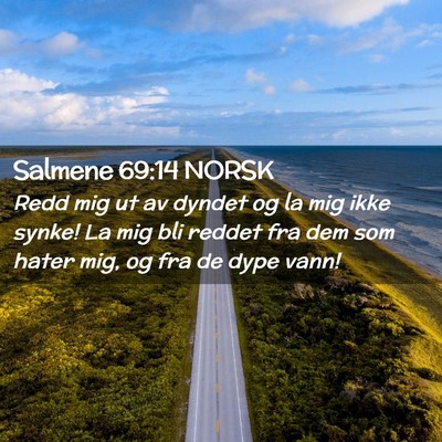 Picture 02 - Salmene 69:14 NORSK - Redd mig ut av dyndet og la mig ikke synke! La - Bible Verse Picture