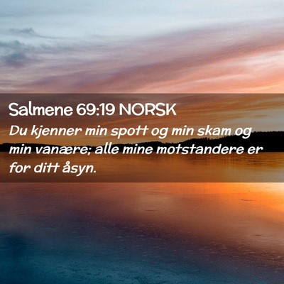 Picture 02 - Salmene 69:19 NORSK - Du kjenner min spott og min skam og min vanære; - Bible Verse Picture