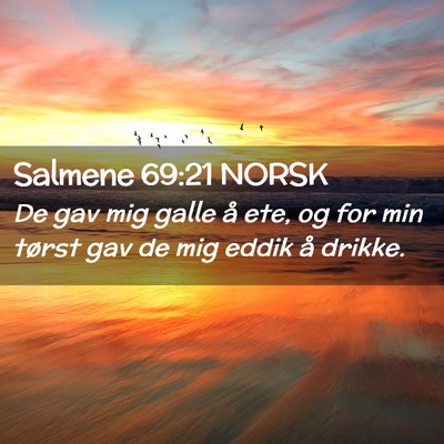 Picture 02 - Salmene 69:21 NORSK - De gav mig galle å ete, og for min tørst gav de - Bible Verse Picture