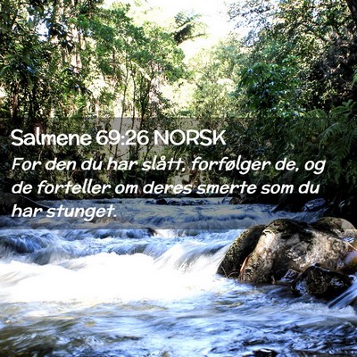 Picture 02 - Salmene 69:26 NORSK - For den du har slått, forfølger de, og de - Bible Verse Picture