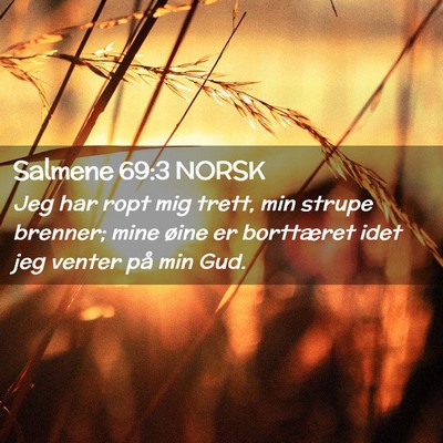 Picture 02 - Salmene 69:3 NORSK - Jeg har ropt mig trett, min strupe brenner; mine - Bible Verse Picture