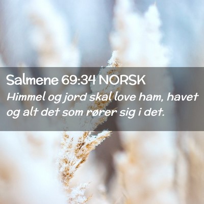 Picture 02 - Salmene 69:34 NORSK - Himmel og jord skal love ham, havet og alt det - Bible Verse Picture
